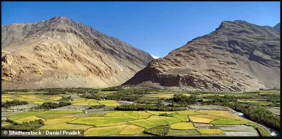 Misteri 'Outpost': Dari Lembah Maut Afghanistan hingga Pionir Lunar dan Ritel Hijau yang Mengguncang Dunia