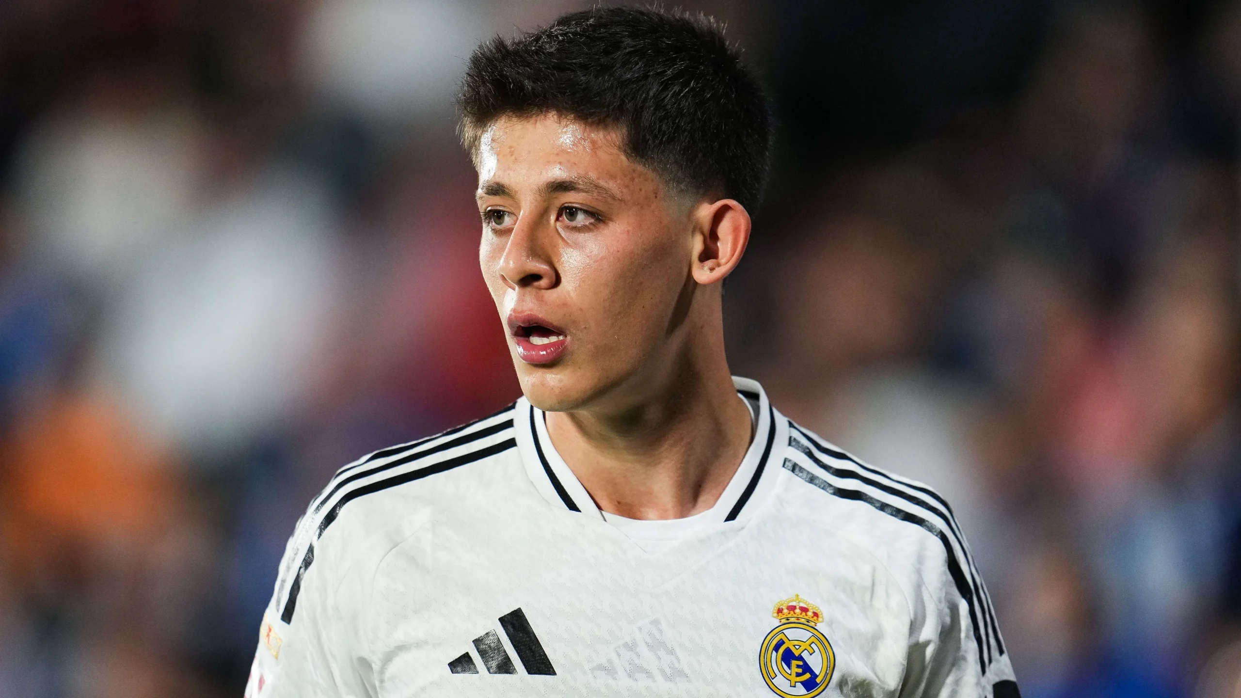 Arda Guler cedera jelang lawan Barcelona, Real Madrid khawatir absen hingga akhir musim: 5 Fakta Mengejutkan