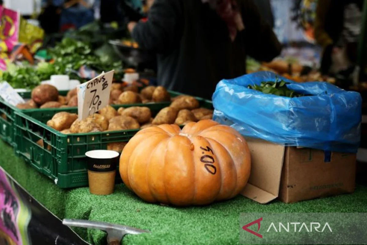 Harga Pangan Global Melonjak: FAO Peringatkan Krisis Jika Konflik Iran Berlanjut