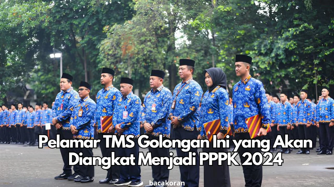 PPPK Terancam PHK Massal: DPR Ajukan Tiga Opsi Strategis, Pemerintah Siapkan Perlindungan Kontrak