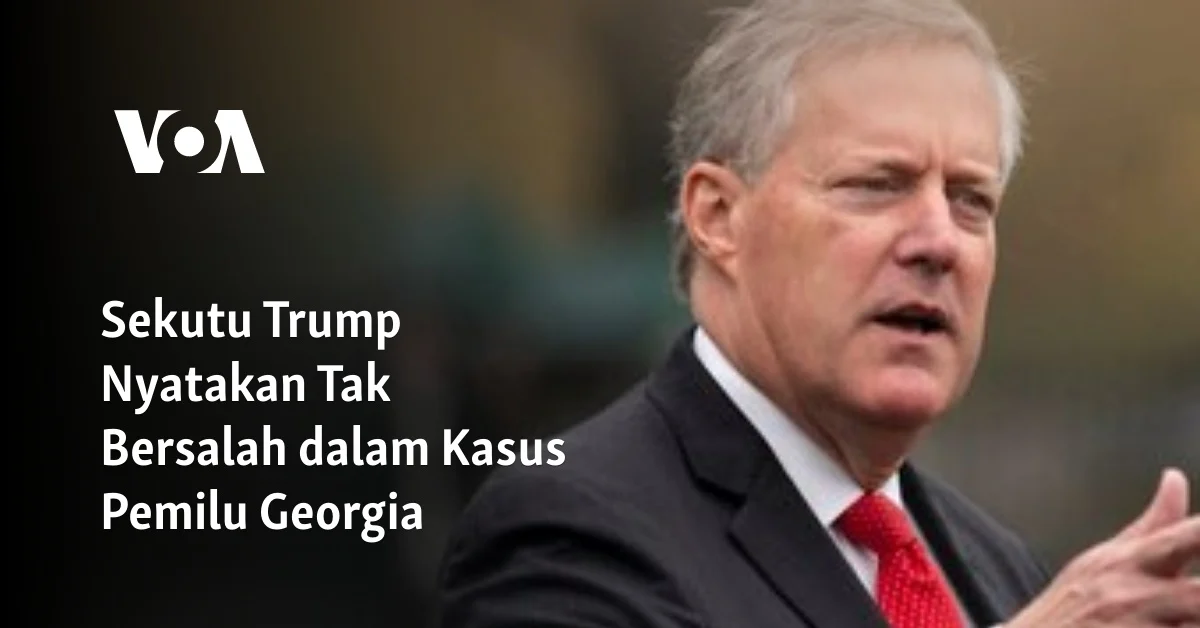 4 Berita Terkini Hari Ini: Dari Mike White hingga Hasil Pemilu Georgia