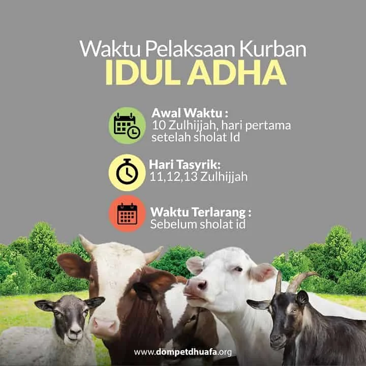 5 Fakta Menarik Sholat Idul Adha 2026: Waktu Penyembelihan Hewan Kurban dan Makna Kepemilikan