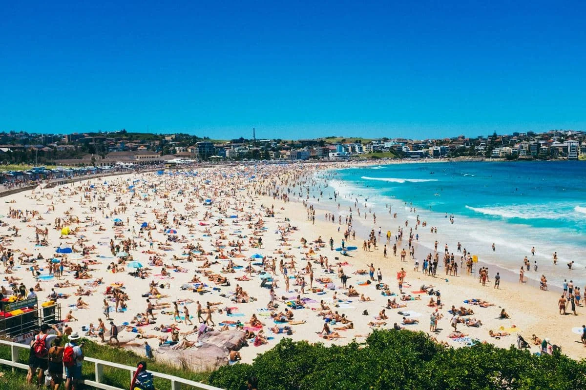 5 Fakta Menarik Tentang Data Sydney: Dari Boomi hingga Data Breach
