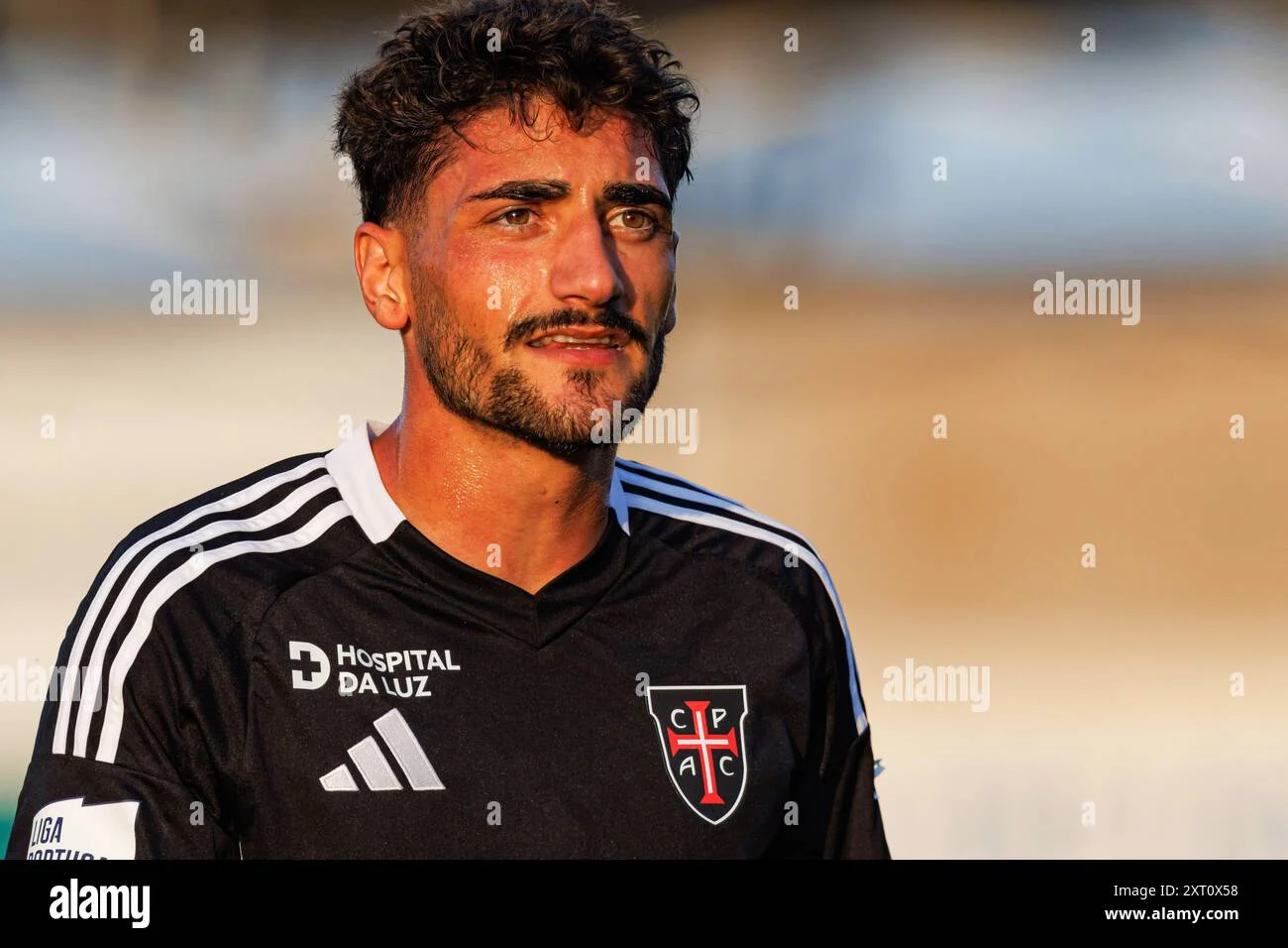 Casa Pia Siap Tantang Torreense di Liga Portugal Playoffs 2026: Live Scores dan Preview