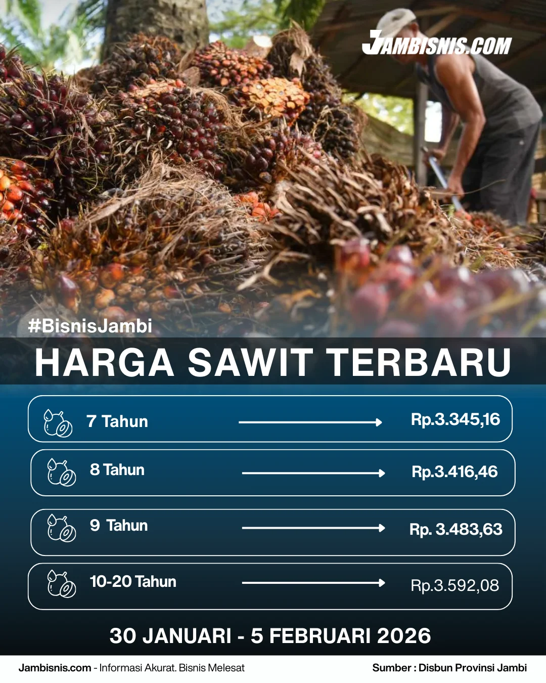 Harga Kelapa Sawit Mei 2026 Turun, Berikut Harga TBS Terbaru dan Prospek Industri Sawit