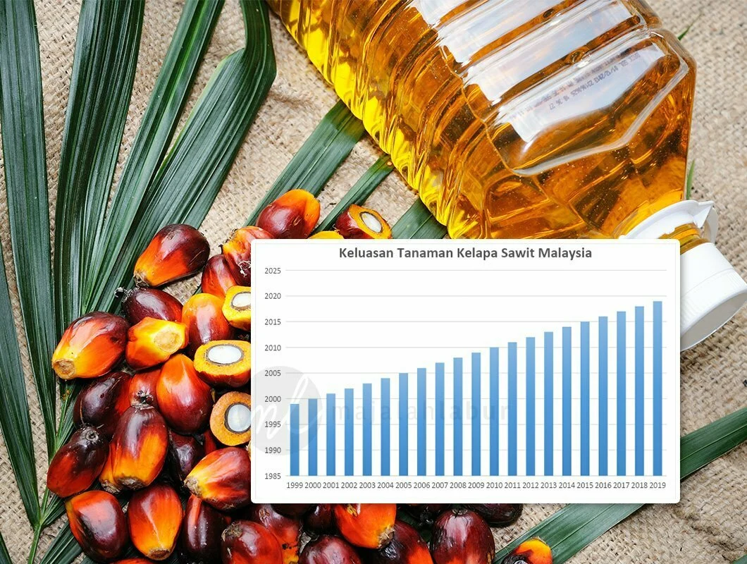 Harga Minyak Sawit Diperkirakan Bertahan Kuat pada Juni 2026, 5 Faktor yang Mempengaruhi