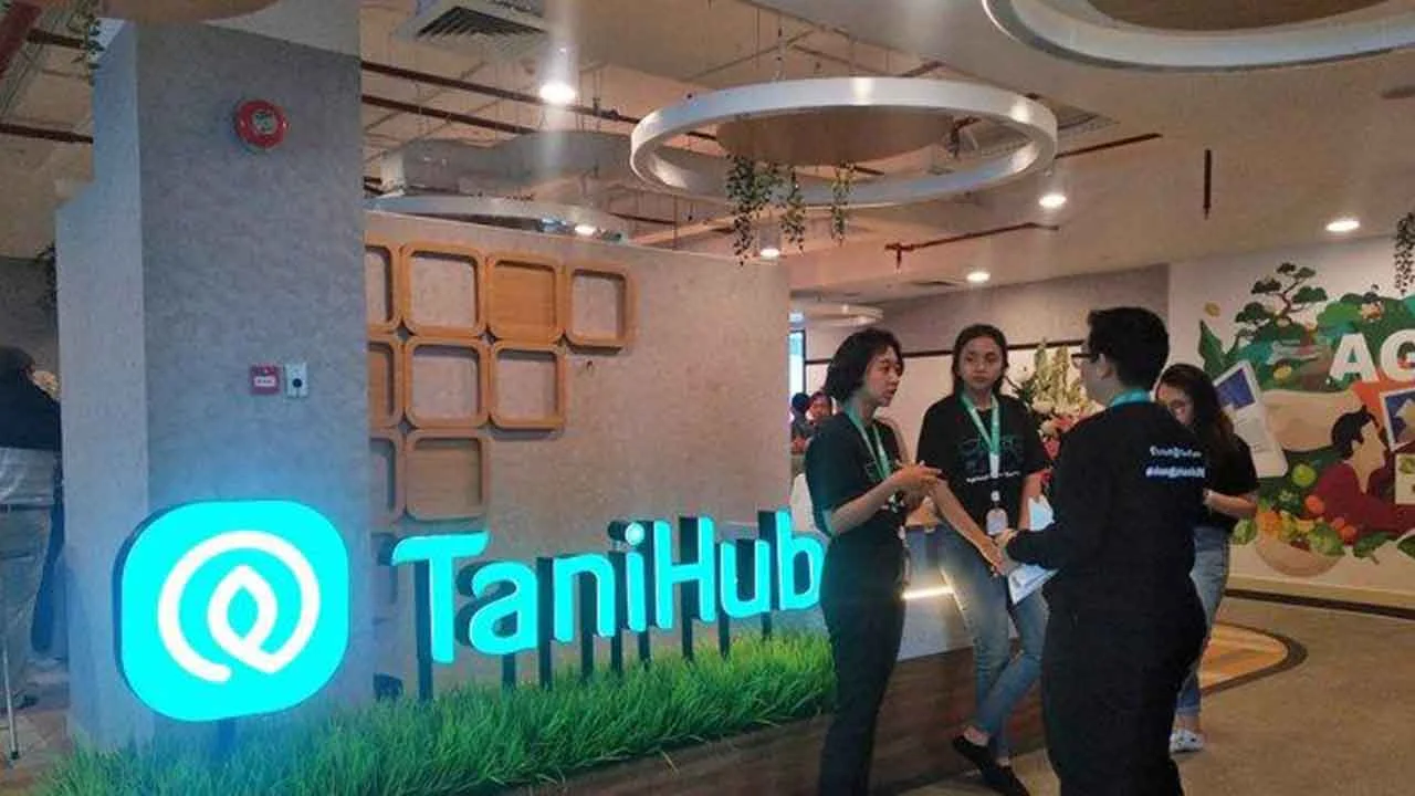 Tanihub dan Boom Start-Up di Indonesia: Apa yang Kita Lewatkan?