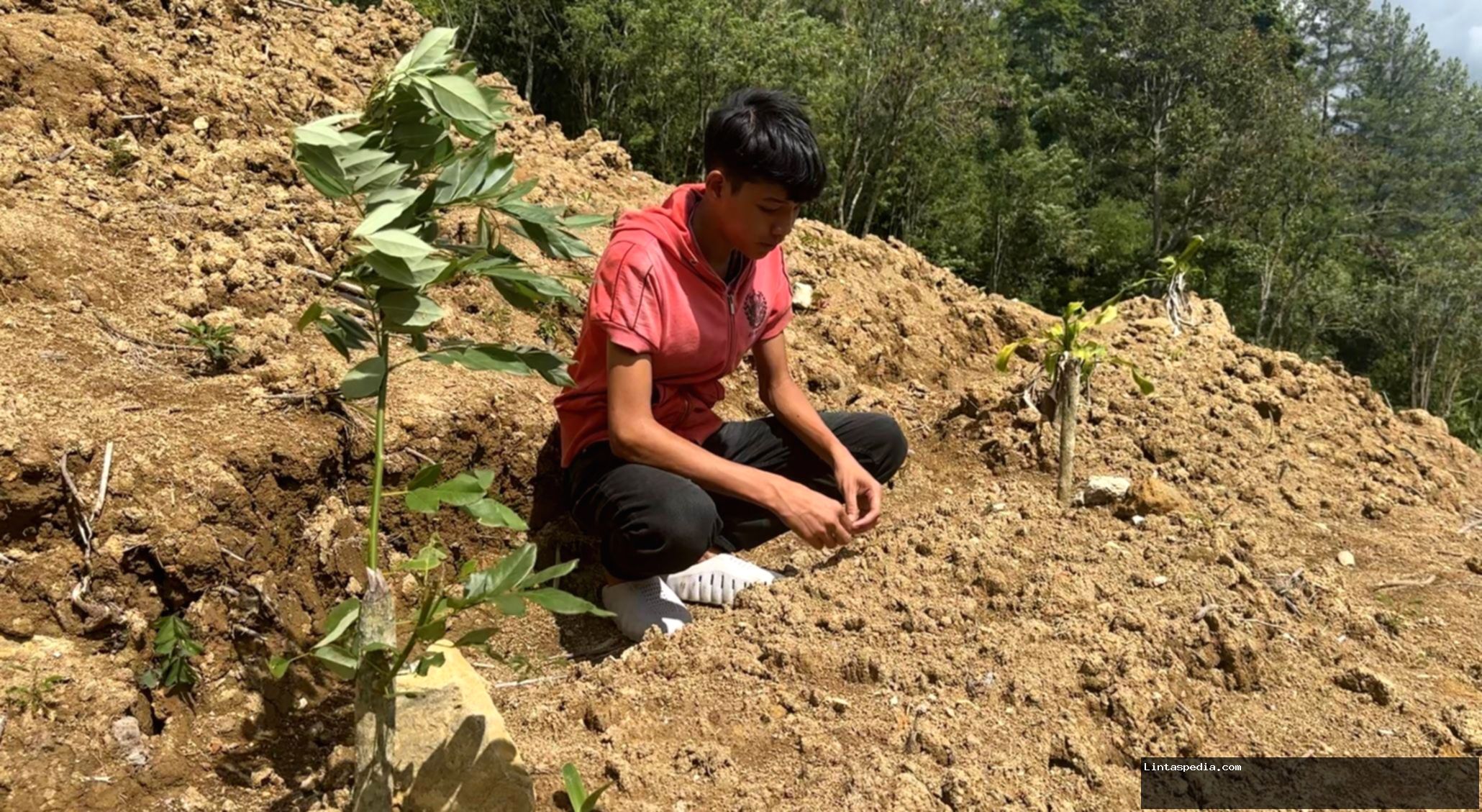 ‘Kami mencari-cari, namun hasilnya nihil’ – Ratusan makam tertimbun longsor di Aceh Tengah, warga berjuang mencari pusara keluarga
