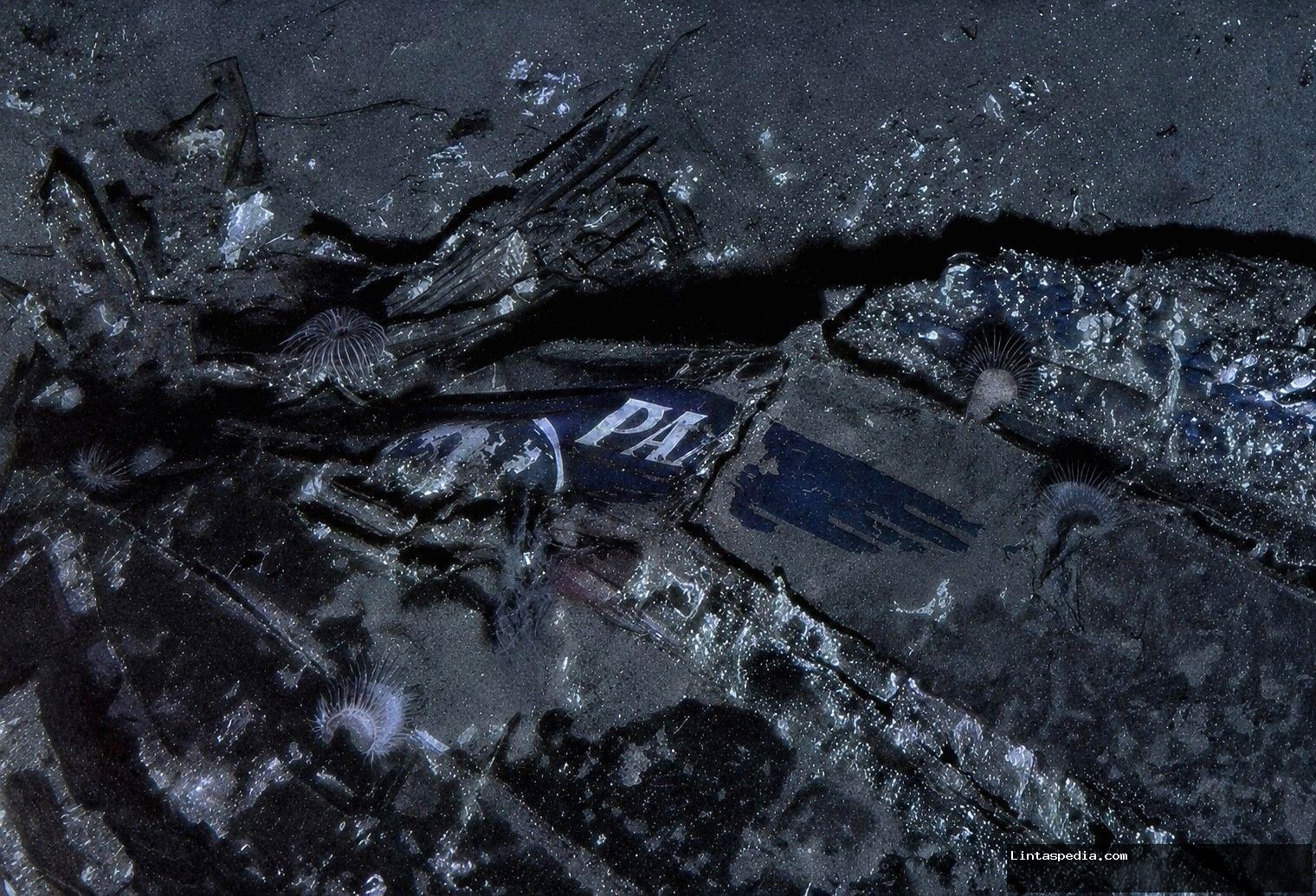 Pesawat Pan Am yang hilang 74 tahun silam ditemukan di dasar laut – mengapa kecelakaan itu mengubah standar keselamatan penerbangan?