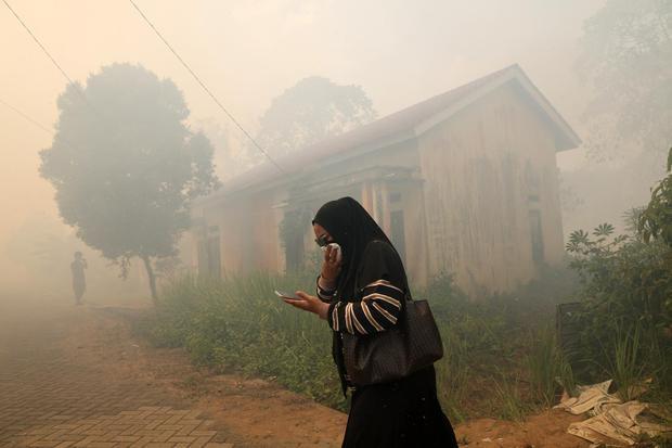 Kebakaran hutan di Kalbar belum padam, api dekati pusat rehabilitasi orang utan